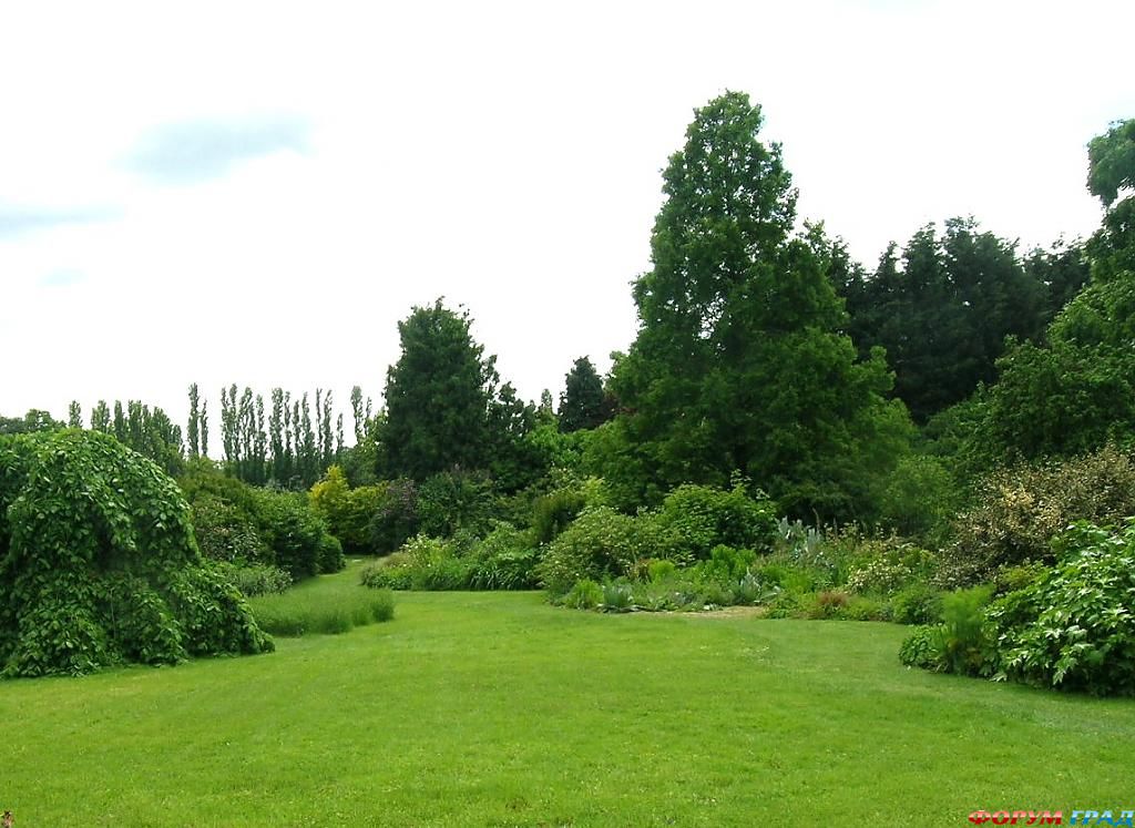 Сад Денманс