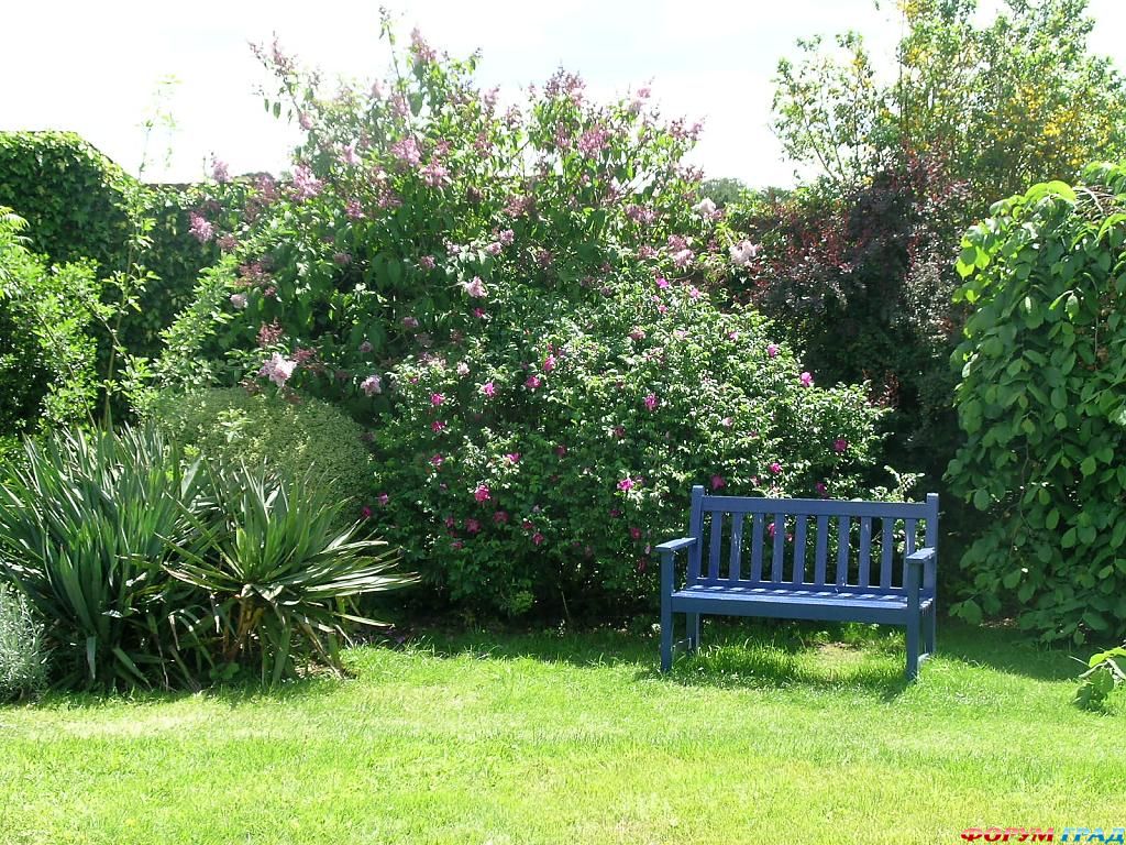 Сад Денманс