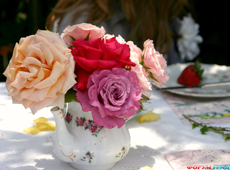 розы в чайнике