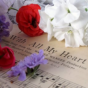 Цветы и ноты