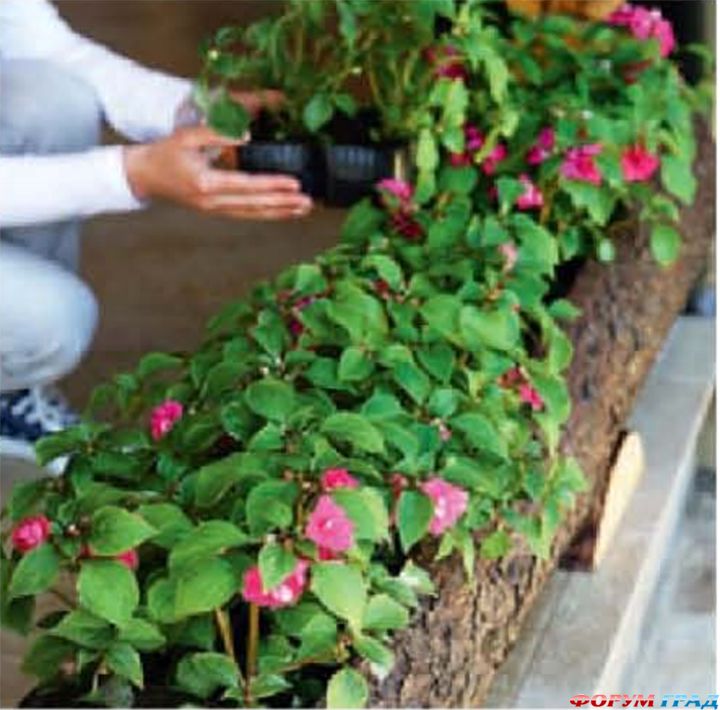 Цветочница