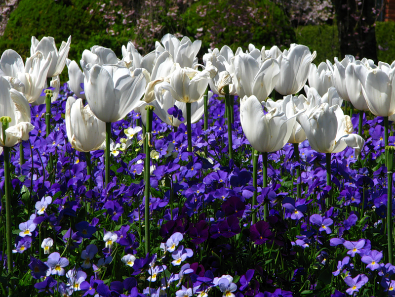 Сады  Филоли