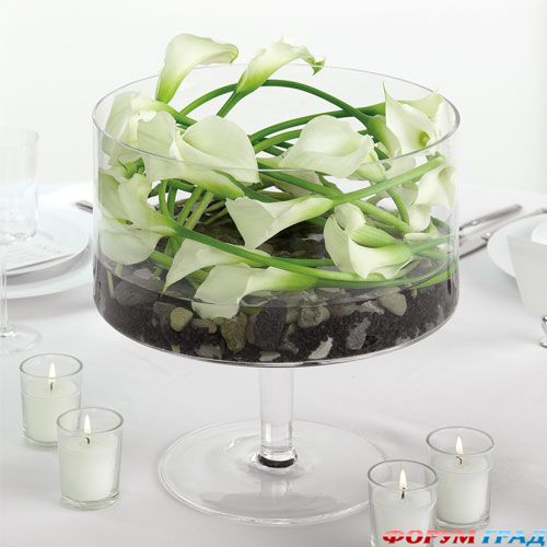 фитодизайн праздничного стола