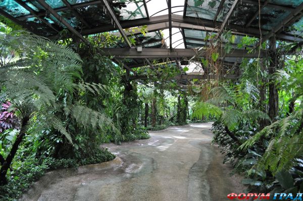 Сод Орхидей Куала Лампур