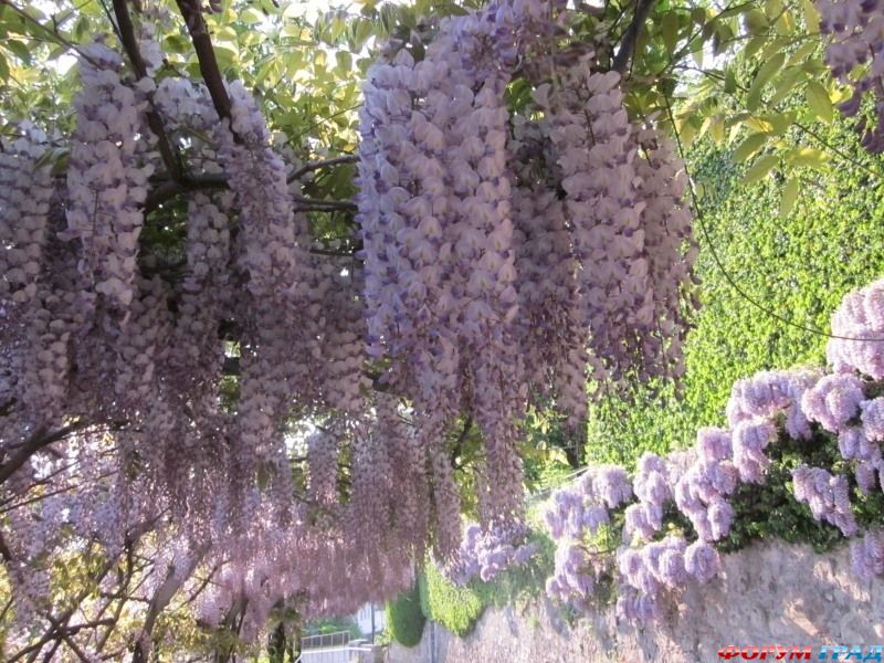 Природа и климатЖеневского озера