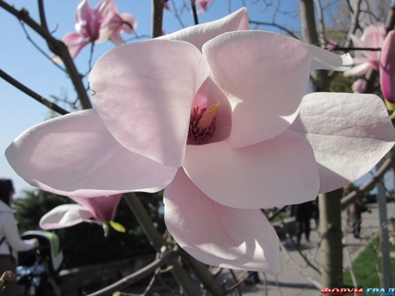 Природа и климатЖеневского озера