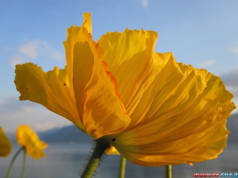 Природа и климатЖеневского озера