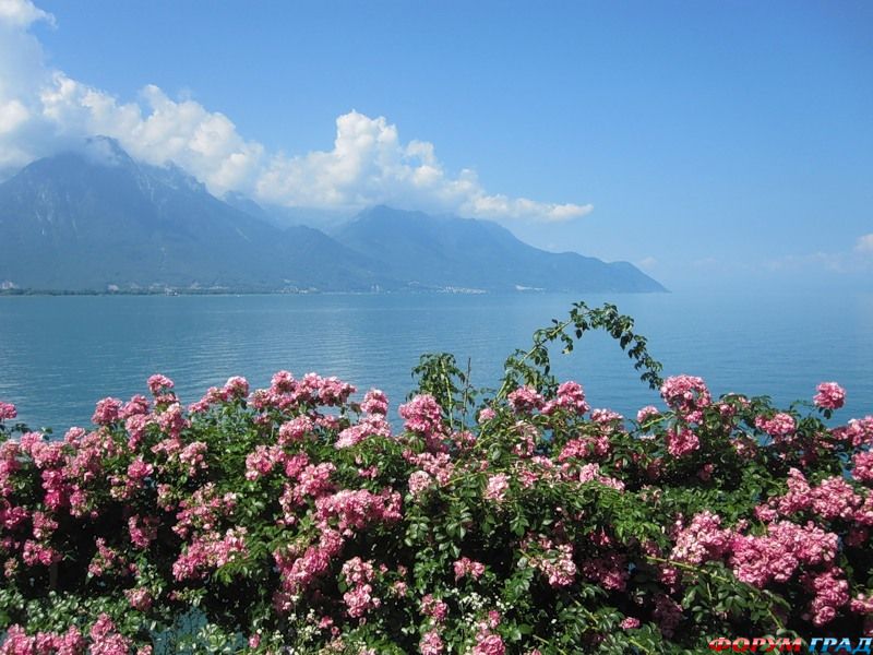 Природа и климатЖеневского озера