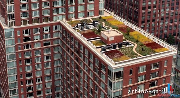 green roof1-gliving