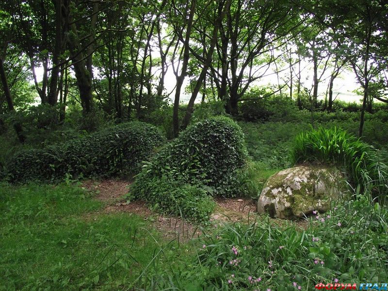 Затерянные сады Хэлигана