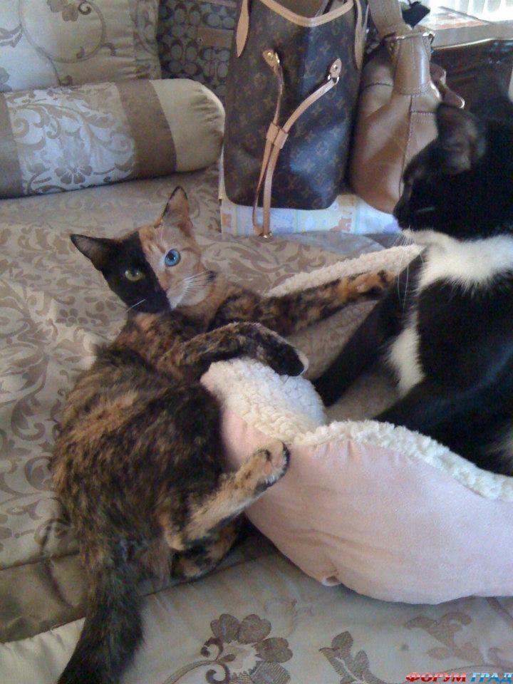 Устроиться поудобней