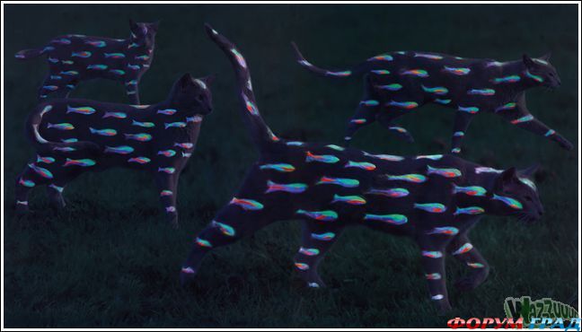 креативный груминг кошек