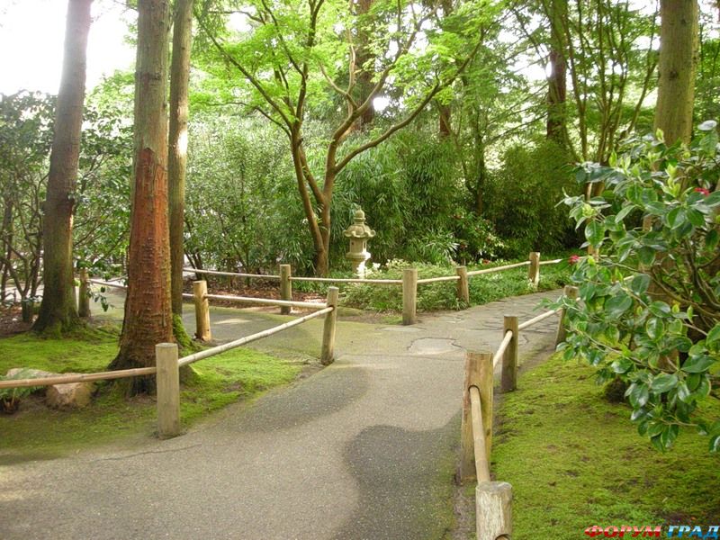 японский сад