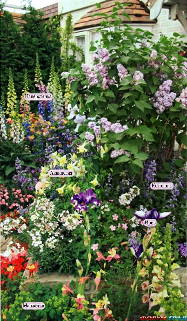 Палисадник