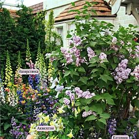 Палисадник