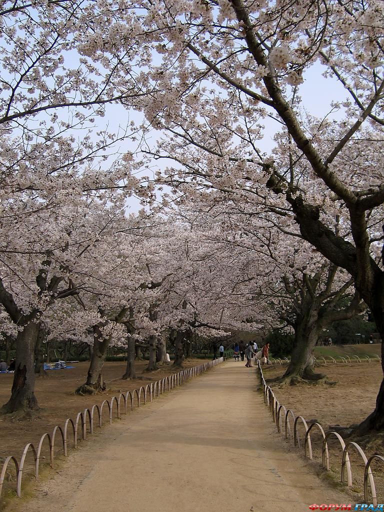 Парк Кераку-эн Япония