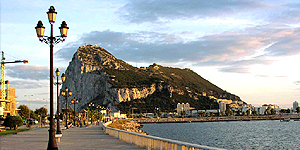 Этикетка на раздел