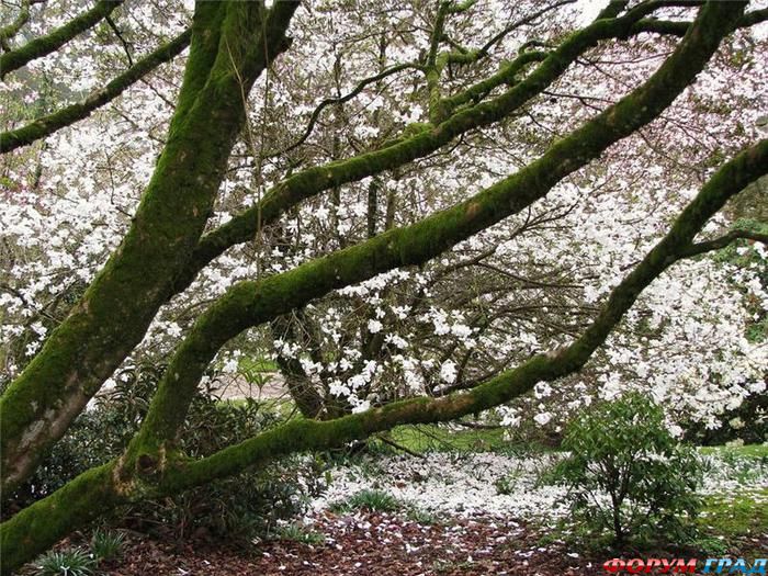 Сад поместья Ландрок
