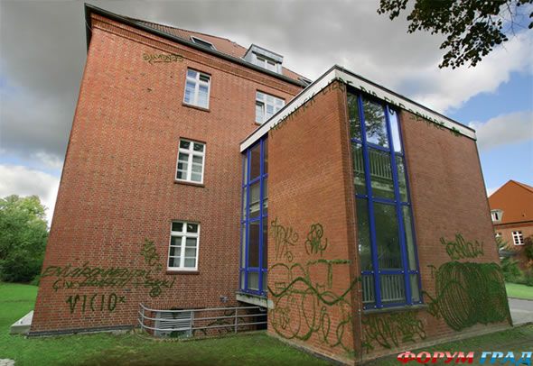 Рисунки из мха на стенах