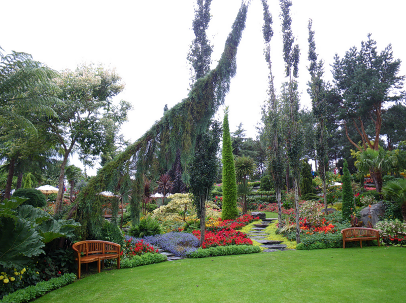 Норвежский сад