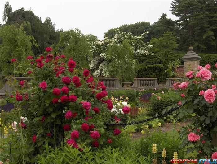 Old Westbury Gardens