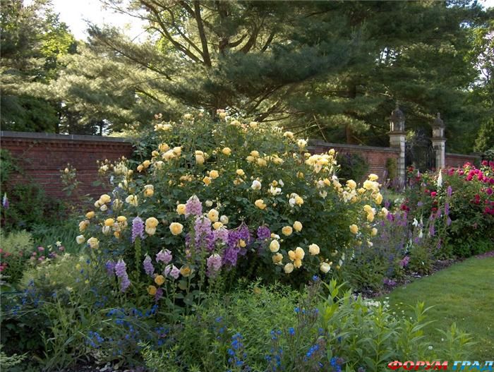 Old Westbury Gardens