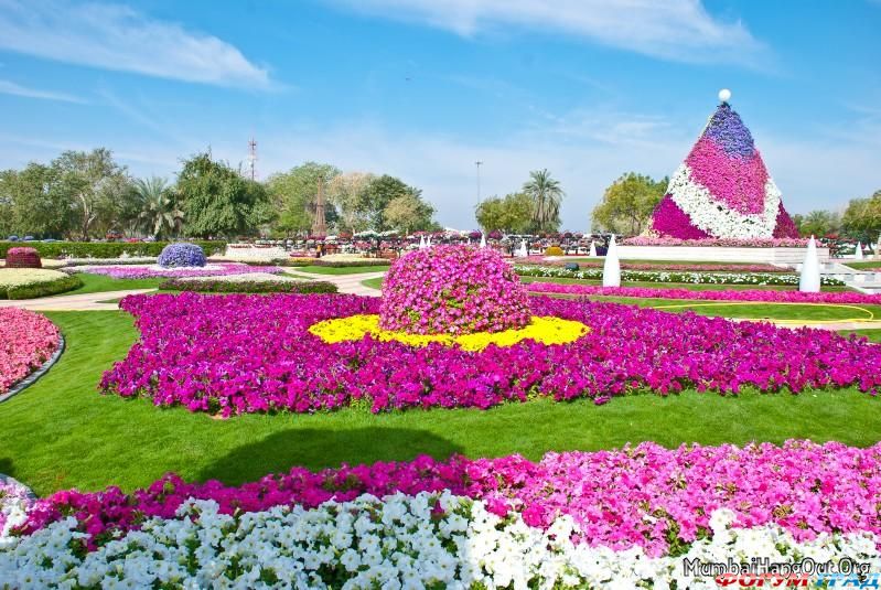 Парк цветов города Эль-Айн
