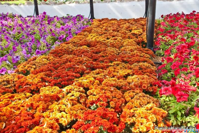 цветочный парк