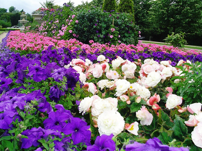 Риджентс Парк