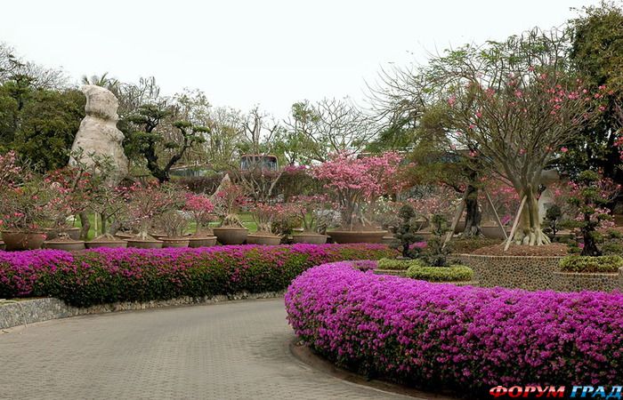 Парк миллиона камней