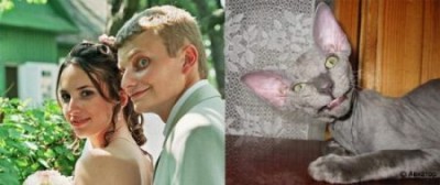 Люди и кошки