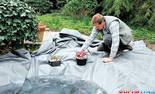 пруд своими руками