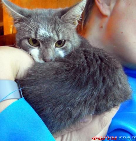 Да не хочу я фотографироваться....