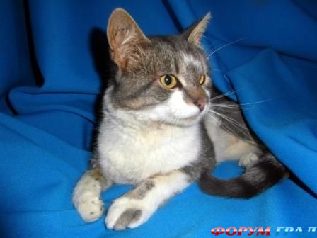 Нет птички, обманули...