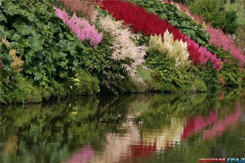 Cад Саутленд Новая зеландия