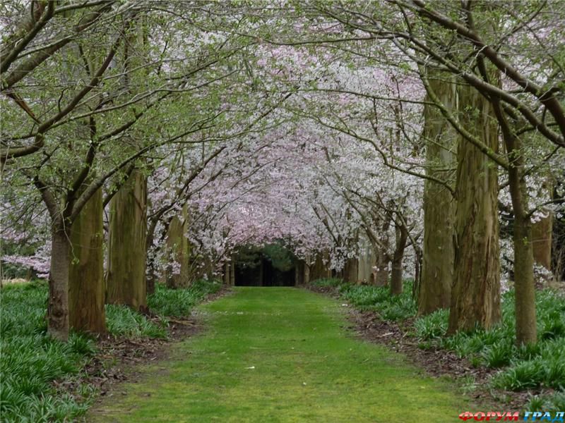 Cад Саутленд Новая Зеландия