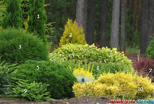 Сад из свойников