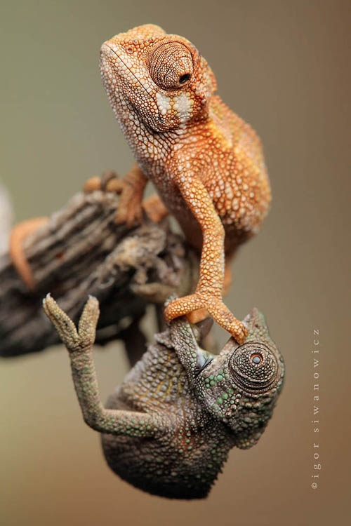 фотографии природы