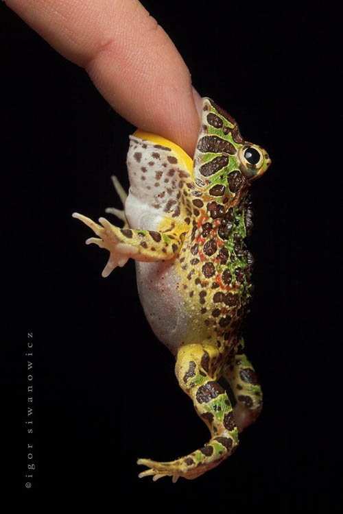 фотографии природы