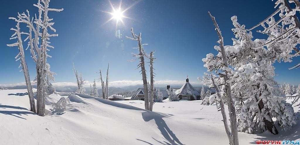 Окрестности отеля Timberline зимой