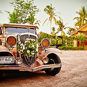 bridal-car-16