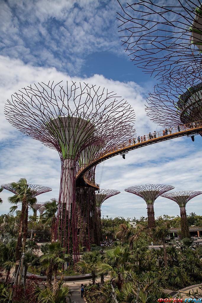 a-new-garden-for-singapore-03