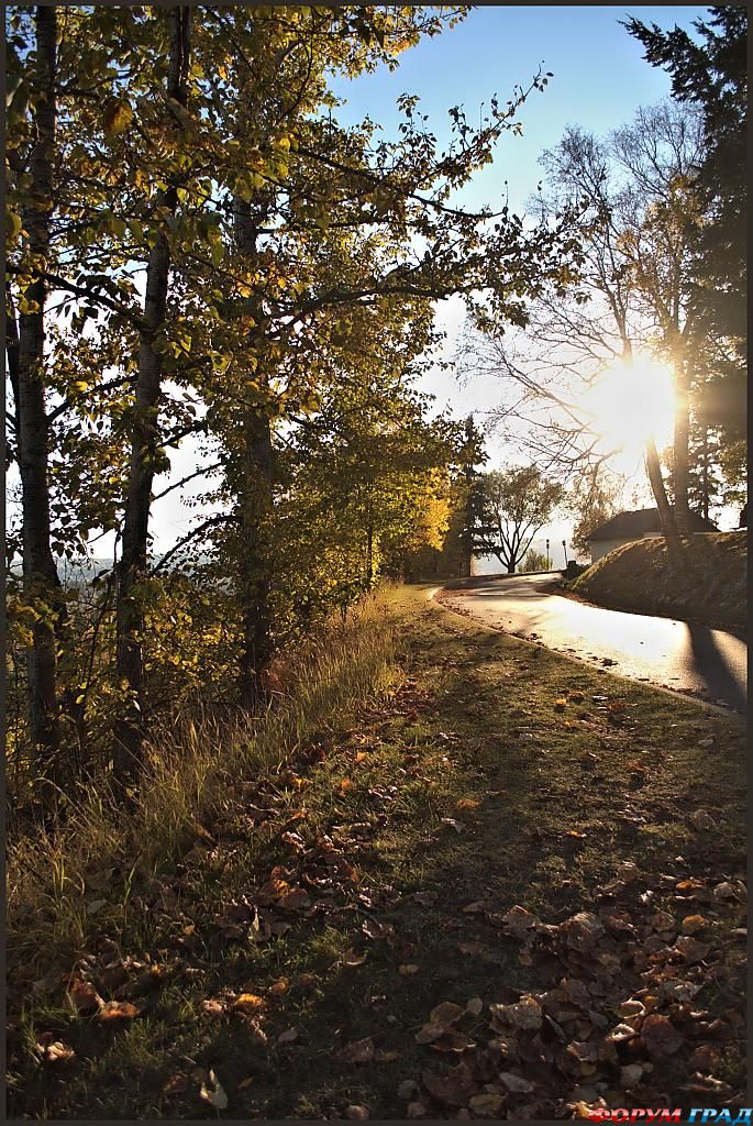 a-walk-in-the-park-a10