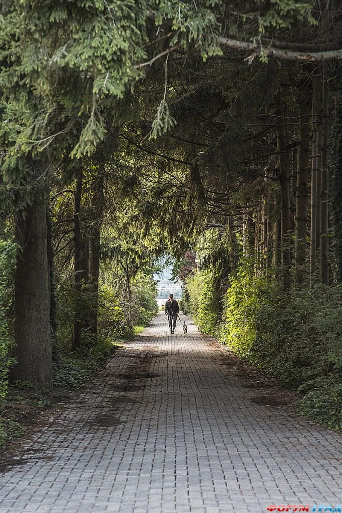 a-walk-in-the-park-b11