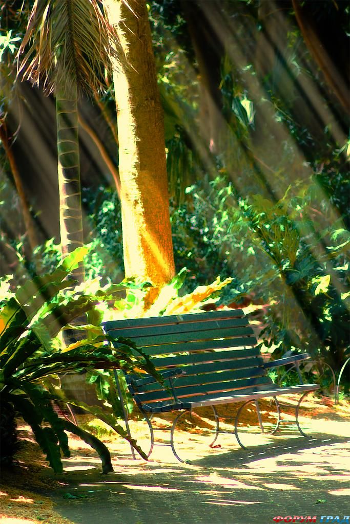 adelaide-botanical-gardens-14