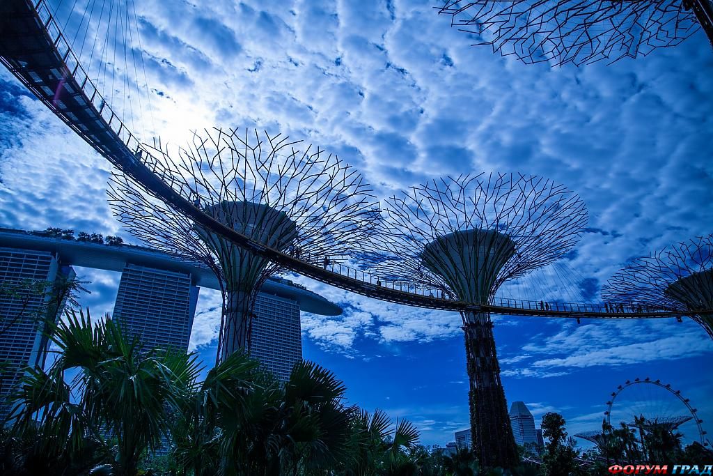 afrernoon-in-the-park-15