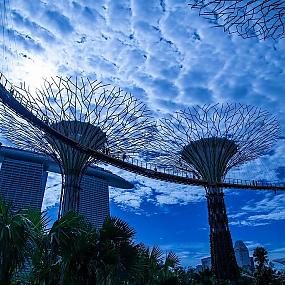 afrernoon-in-the-park-15