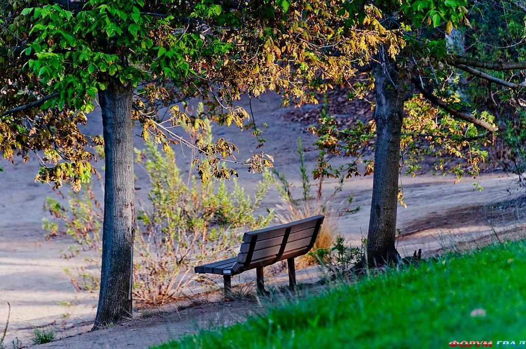 afternoon-in-the-park-18