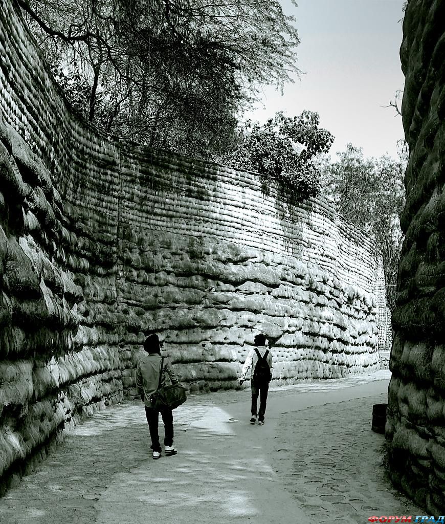 all-of-life-is-a-journey-which-paths-we-take-what-we-look-back-on-and-what-we-lo