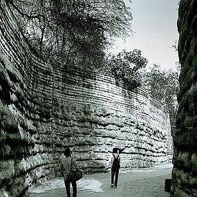 all-of-life-is-a-journey-which-paths-we-take-what-we-look-back-on-and-what-we-lo